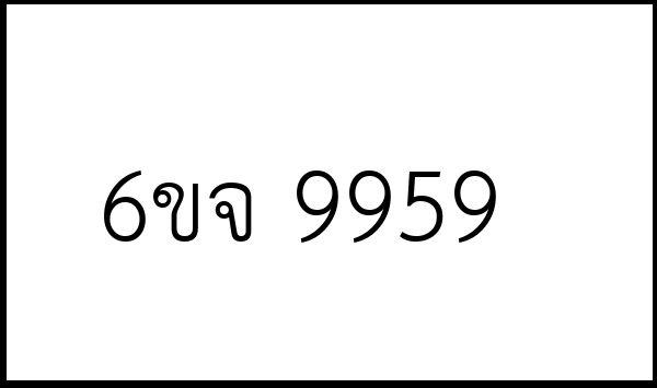 6ขจ 9959